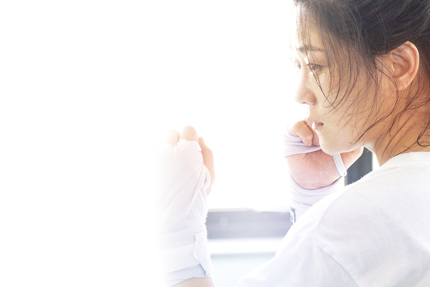 ファイター、北からの挑戦者