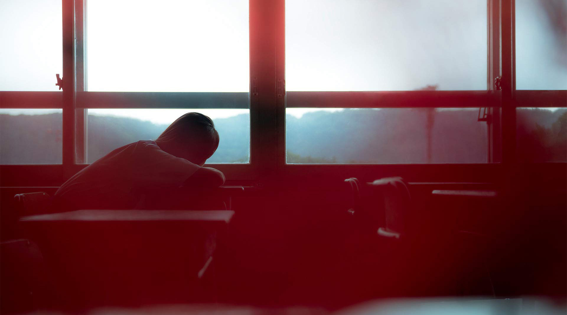 カランコエの花